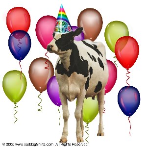 ../Images/birthday cow.jpg